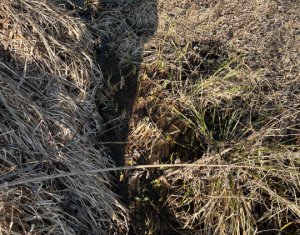 Telek eladó on Saliste