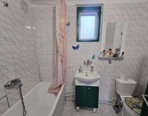 Maison 3 chambres à louer dans Cluj-napoca, zone Bulgaria