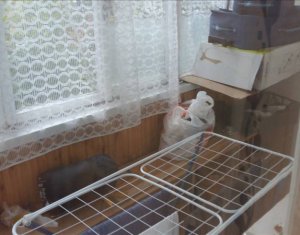 Lakás 2 szobák eladó on Cluj-napoca, Zóna Manastur