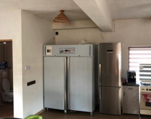 Ház 7 szobák kiadó on Salicea