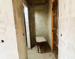 Appartement 1 chambres à vendre dans Cluj-napoca, zone Dambul Rotund