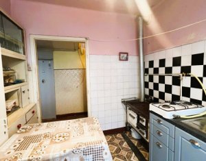 Appartement 1 chambres à vendre dans Cluj-napoca, zone Gruia