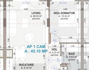 , 45.1m2 dans Floresti