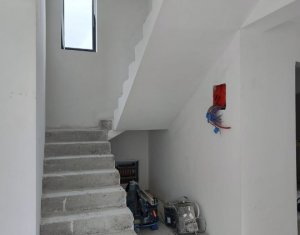 Maison 3 chambres à vendre dans Chinteni