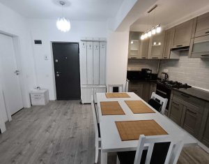 Appartement 2 chambres à louer dans Cluj-napoca, zone Marasti