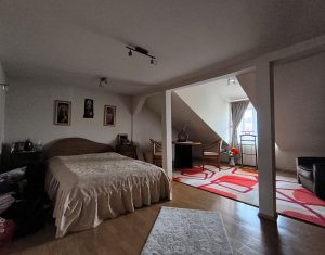 Oportunitate investitie, 2 case individuale, zona Calea Turzii, strada retrasa