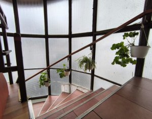 Oportunitate investitie, 2 case individuale, zona Calea Turzii, strada retrasa