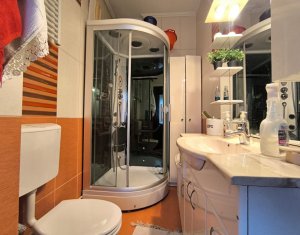 Oportunitate investitie, 2 case individuale, zona Calea Turzii, strada retrasa