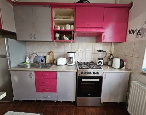 Appartement 1 chambres à vendre dans Cluj-napoca, zone Centru