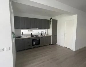 Maison 3 chambres à louer dans Cluj-napoca, zone Iris