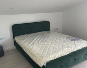 Maison 3 chambres à louer dans Cluj-napoca, zone Iris