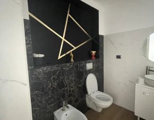 Maison 3 chambres à louer dans Cluj-napoca, zone Iris