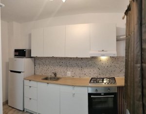 Appartement 1 chambres à louer dans Cluj-napoca, zone Plopilor