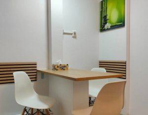 Appartement 1 chambres à louer dans Cluj-napoca, zone Plopilor