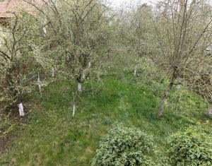 , 250m2 in Cluj-napoca, zone Centru