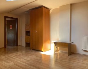 Appartement 2 chambres à louer dans Cluj-napoca, zone Gruia