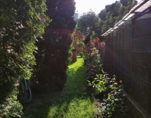 Apartament 2 camere, 70 mp, cartier Bulgaria, curte spatioasa, cu verdeata