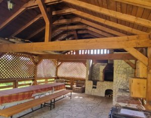 Maisons de vacances à vendre dans Belis, zone Centru