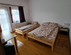 Maisons de vacances à vendre dans Belis, zone Centru