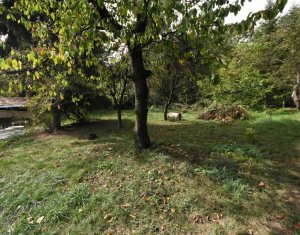 Telek eladó on Cluj-napoca, Zóna Grigorescu