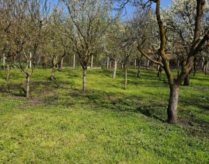 , 221m2 in Ceanu Mic