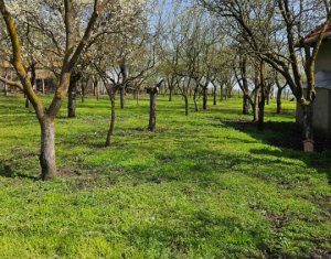 Casa de vanzare, teren 1700 mp, Ceanu Mic, judetul Cluj