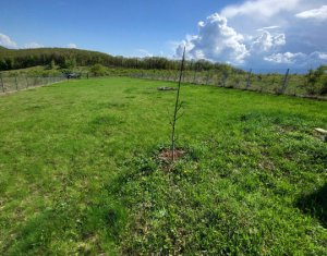 Teren extravilan 2000 mp, împrejmuit, panoramă superbă – Sălicea (Cluj)