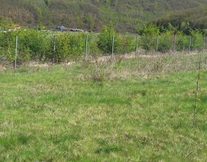 Teren extravilan 2000 mp, împrejmuit, panoramă superbă – Sălicea (Cluj)