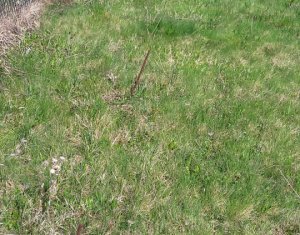 Teren extravilan 2000 mp, împrejmuit, panoramă superbă – Sălicea (Cluj)