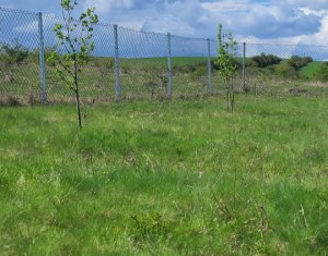 Teren extravilan 2000 mp, împrejmuit, panoramă superbă – Sălicea (Cluj)