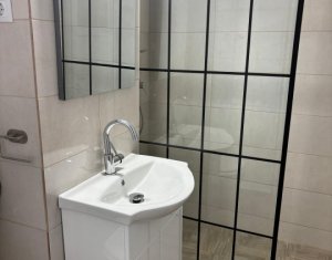 Studio à louer dans Cluj-napoca, zone Dambul Rotund