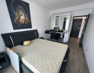 Appartement 3 chambres à louer dans Cluj-napoca, zone Europa