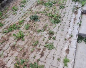 Ház 7 szobák eladó on Cluj-napoca, Zóna Gheorgheni