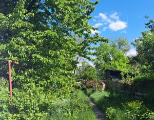 Ház 5 szobák kiadó on Cluj-napoca, Zóna Andrei Muresanu