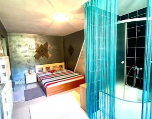 Maison 6 chambres à vendre dans Cluj-napoca, zone Europa