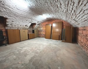 Appartement 1 chambres à louer dans Cluj-napoca, zone Centru