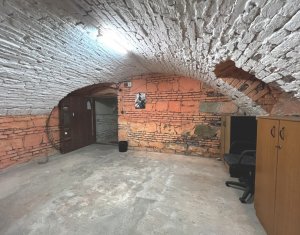 Appartement 1 chambres à louer dans Cluj-napoca, zone Centru