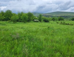Telek eladó on Floresti
