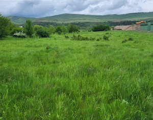 Telek eladó on Floresti