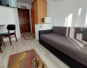 Appartement 1 chambres à vendre dans Cluj-napoca, zone Intre Lacuri