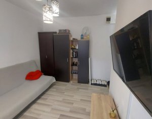 Appartement 1 chambres à louer dans Cluj-napoca, zone Marasti