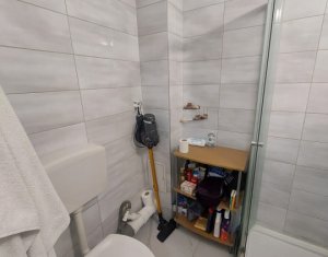 Appartement 1 chambres à louer dans Cluj-napoca, zone Marasti