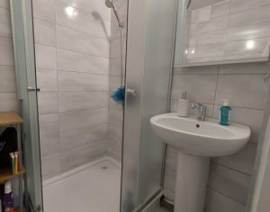 Appartement 1 chambres à louer dans Cluj-napoca, zone Marasti