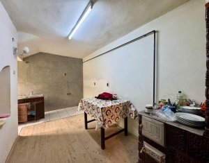 Maison 6 chambres à vendre dans Feleacu
