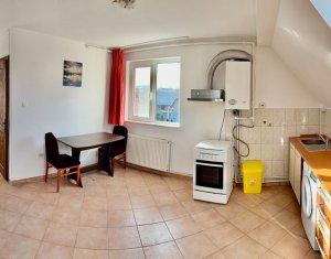 Appartement 2 chambres à louer dans Cluj-napoca, zone Someseni