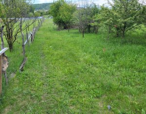 , 1845m2 in Cluj-napoca, zona Someseni