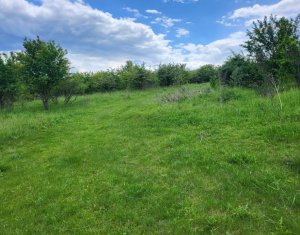 Land for sale in Cluj-napoca, zone Someseni