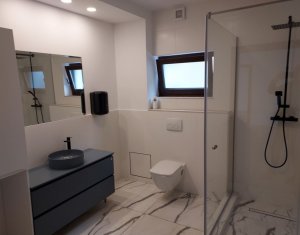 Maison 3 chambres à louer dans Cluj-napoca, zone Gheorgheni