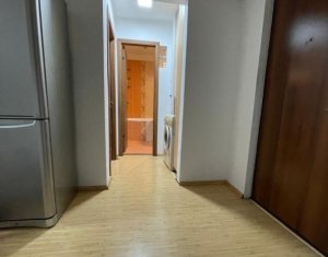 Appartement 2 chambres à louer dans Cluj-napoca, zone Manastur