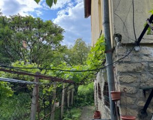 Casa individuala retrasa, Andrei Muresanu